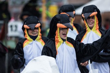 Bild 171 - Latuff 2017